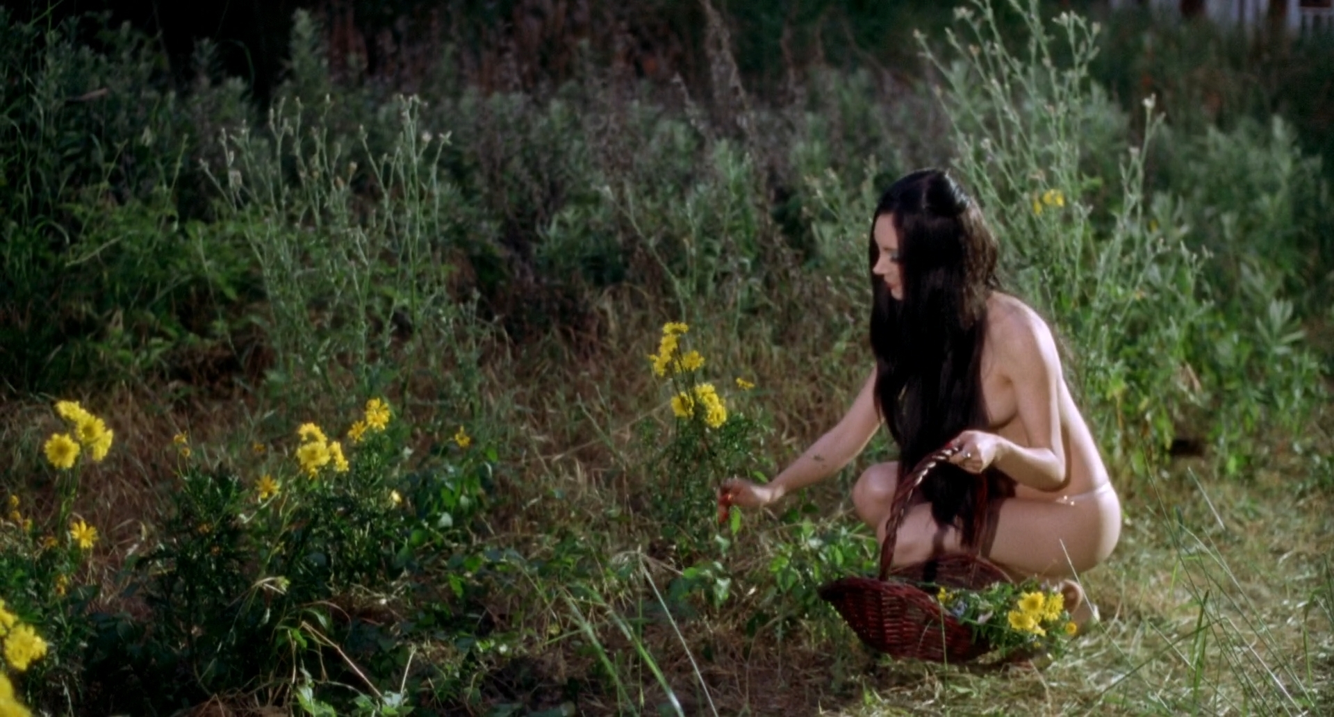 The witch nude scenes - 🧡 The Love Witch nude pics, seite - 1 ANCENSORED.