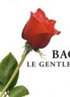 Bachelor gentleman célibataire (2003-presente) Cenas de Nudez