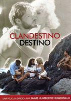 Clandestino destino (1987) Cenas de Nudez