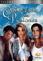 Cañaveral de pasiones (1996) Cenas de Nudez
