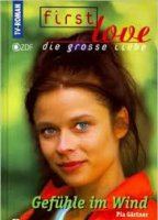 First Love - Die große Liebe 1997 filme cenas de nudez