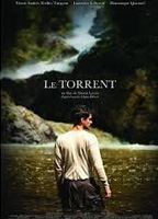 Le torrent (2012) Cenas de Nudez
