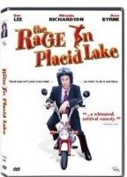 The Rage in Placid Lake 2003 filme cenas de nudez