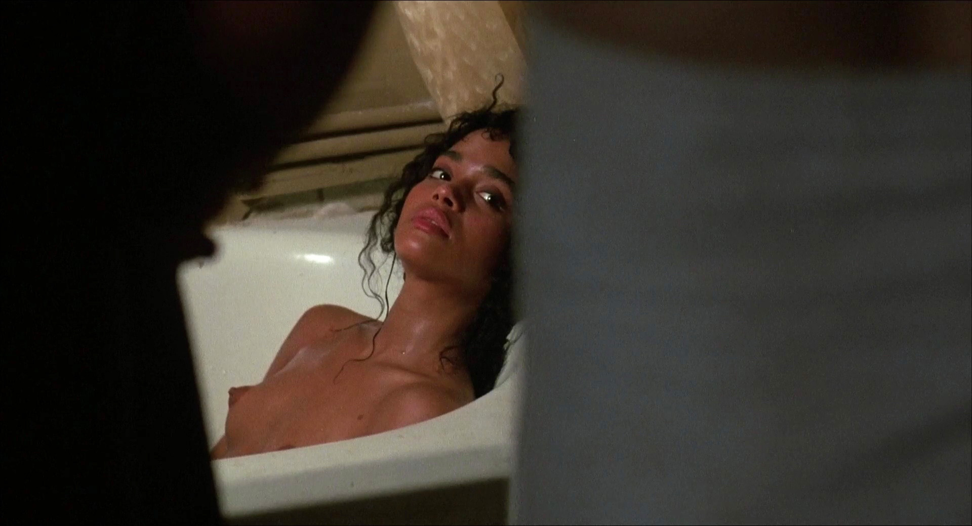 Lisa Bonet nude pics.