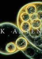 Alice In Chains: Black Antenna cenas de nudez