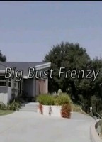 Big Bust Frenzy (2007) Cenas de Nudez