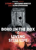Boro in the Box (2011) Cenas de Nudez