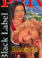 Indecency 2 (1998) Cenas de Nudez