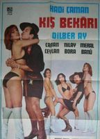 Kis Bekari (1978) Cenas de Nudez