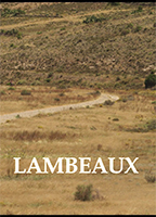 Lambeaux (2011) Cenas de Nudez
