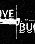 Love Bugs 2004 filme cenas de nudez