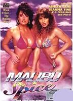 Malibu Spice (1991) Cenas de Nudez
