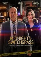 Midnight in the Switchgrass (2021) Cenas de Nudez