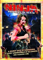 Ninja: Prophecy of Death (2011) Cenas de Nudez