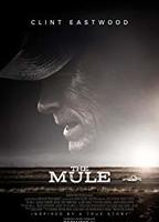 The Mule (I) 2018 filme cenas de nudez