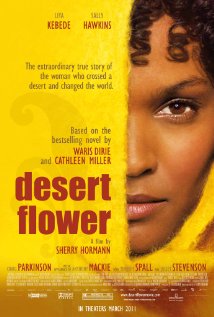 Desert Flower 2009 filme cenas de nudez