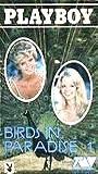 Birds in Paradise (1988) Cenas de Nudez