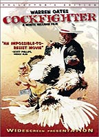 Cockfighter (1974) Cenas de Nudez