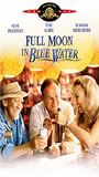 Full Moon in Blue Water (1988) Cenas de Nudez