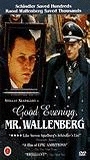 Good Evening, Mr. Wallenberg cenas de nudez