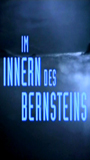 Im Innern des Bernsteins (1995) Cenas de Nudez