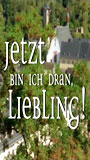 Jetzt bin ich dran, Liebling! (2001) Cenas de Nudez