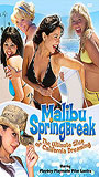 Malibu Spring Break cenas de nudez
