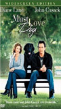 Must Love Dogs (2005) Cenas de Nudez