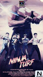 Ninja Turf (1985) Cenas de Nudez