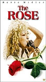 The Rose (1979) Cenas de Nudez