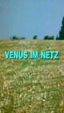 Venus im Netz cenas de nudez