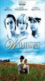 Wildflower (1991) Cenas de Nudez
